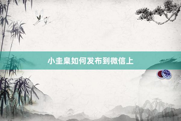 小圭臬如何发布到微信上