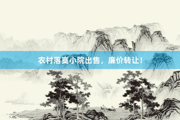 农村落寞小院出售，廉价转让！